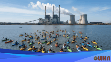 Protesters Shut Down Australian Coal Port